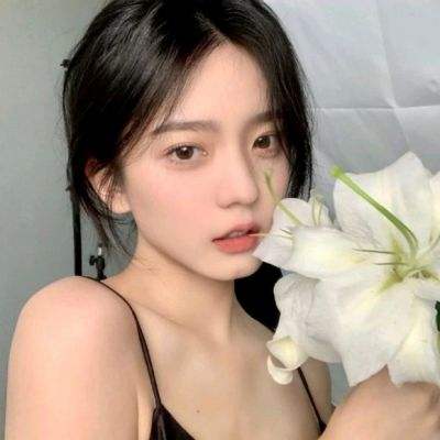 罗布乐思九游版下载